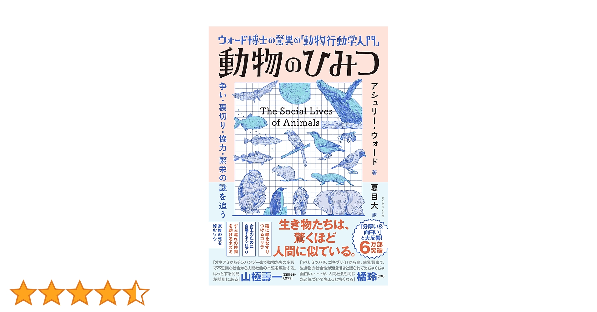 91aAZ7-pqfL.jpg_BO30,255,255,